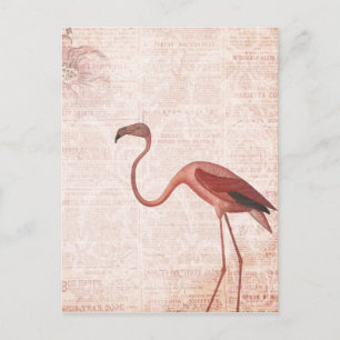 Cartão Postal Estilo Vintage Flamingo Rosa
