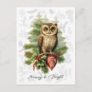 Cartão Postal Estilo Vintage Natal Coruja na Neve e Sempre-Verde