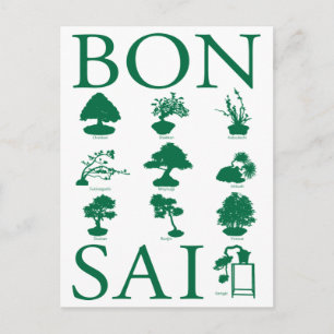 Cartão Postal Estilos Básicos da Árvore Bonsai