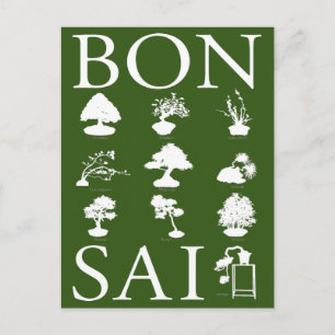 Cartão Postal Estilos Básicos de Árvore Bonsai