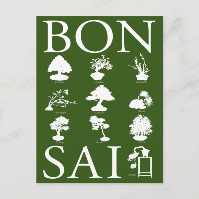 Cartão Postal Estilos Básicos de Árvore Bonsai (Frente)