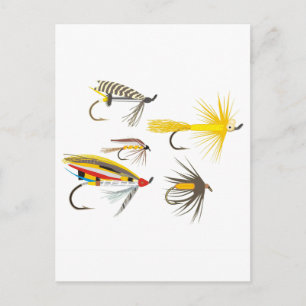 Cartão Postal Estirpes De Pesca De Voo