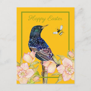 Cartão Postal Estorninho Europeu Aquarela