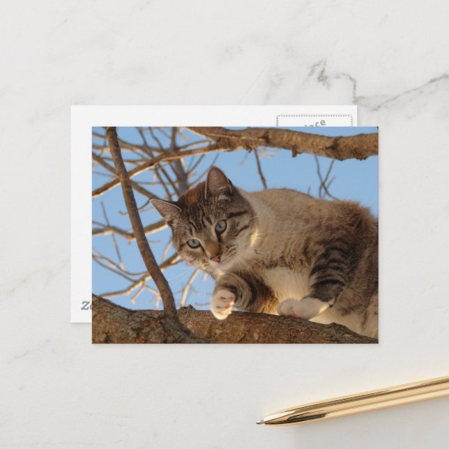 Cartão Postal Estou aqui em cima (Frente/Verso In Situ)