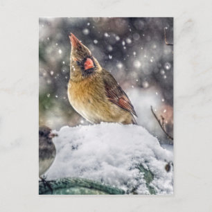 Cartão Postal Estou de olho em você