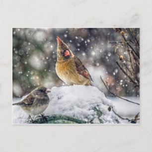 Cartão Postal Estou de olho em você