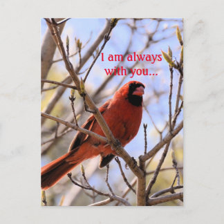 Cartão Postal Estou sempre contigo...