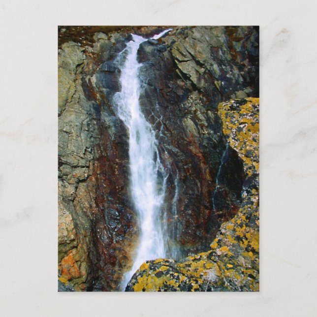 CARTÃO POSTAL ESTOU SOZINHO DEMAIS NO MUNDO (Frente)