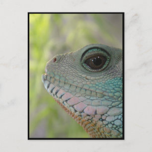 Cartão Postal Estou te observando - Cartão-postal