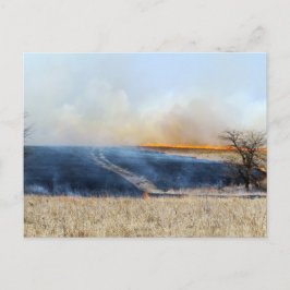 Cartão Postal Estrada através da Prairie Burn 24 x 16