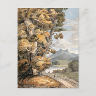 Cartão Postal Estrada Cênica, Árvores, Lago e Arte Vintage nas M
