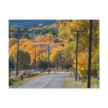 Estrada da Ponte Preta