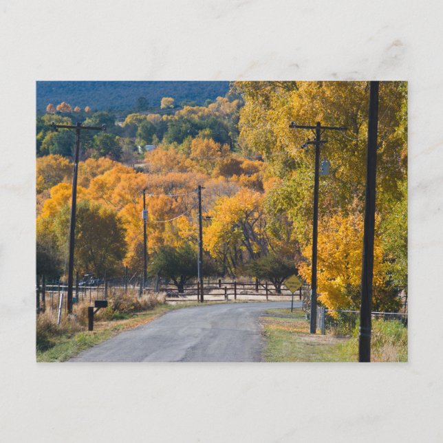 Cartão Postal Estrada da Ponte Preta (Frente)