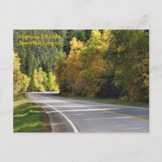 Cartão Postal Estrada De Dourado                  ... (Frente)