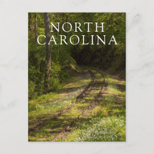 Cartão Postal Estrada De Ferro Abandonada Numa Floresta