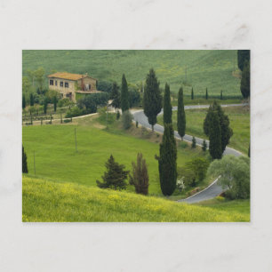 Cartão Postal Estrada de Pienza a Montepulciano, 2