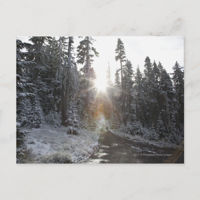 Cartão Postal Estrada de sujeira de neve indo para o sol (Frente)