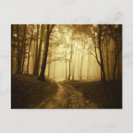 Cartão Postal Estrada em uma floresta escura com neblina
