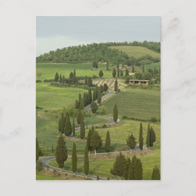 Cartão Postal Estrada: Pienza — Montepulciano, (Frente)