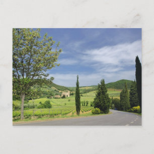 Cartão Postal Estrada rural curvando entre ciprestes em