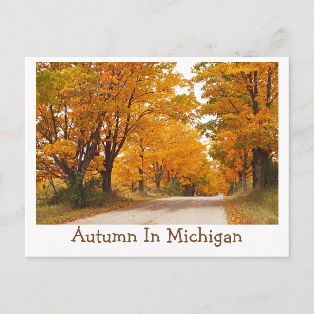 CARTÃO POSTAL "ESTRADA RURAL DE MICHIGAN TOTALMENTE ILUMINADA CO (Frente)