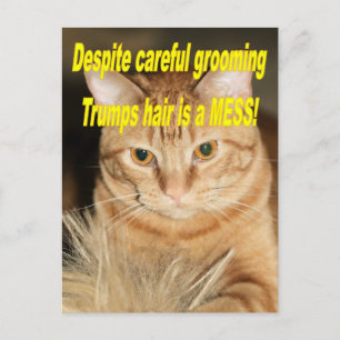 Cartão Postal Estranho velho Trump