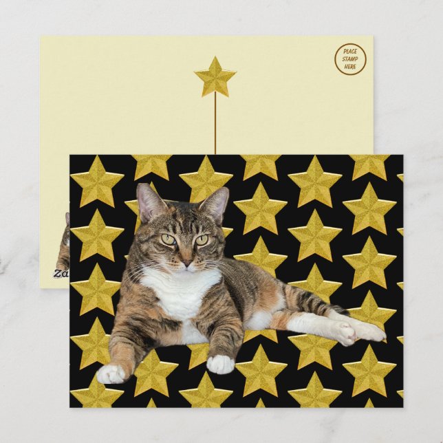 Cartão Postal Estrela de Annie: Cartão-postal de Cat (Frente/Verso)