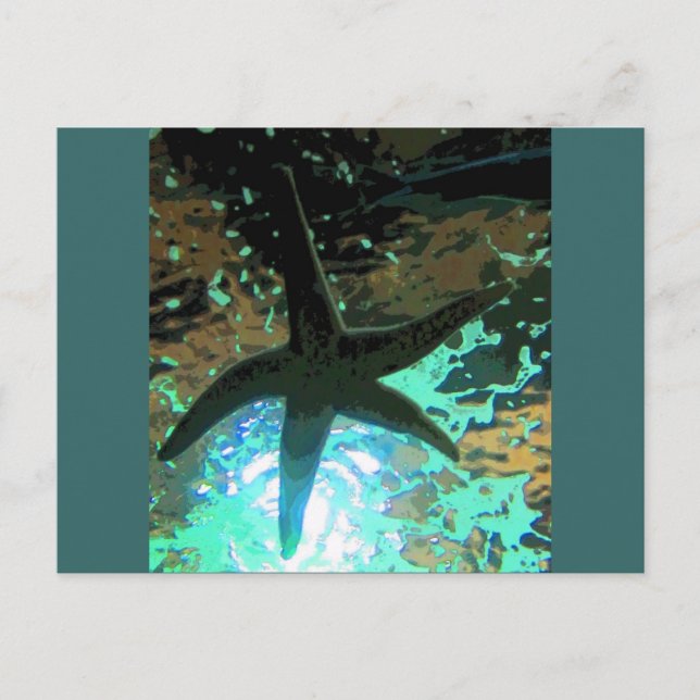 Cartão Postal Estrela-do-mar CB (Frente)