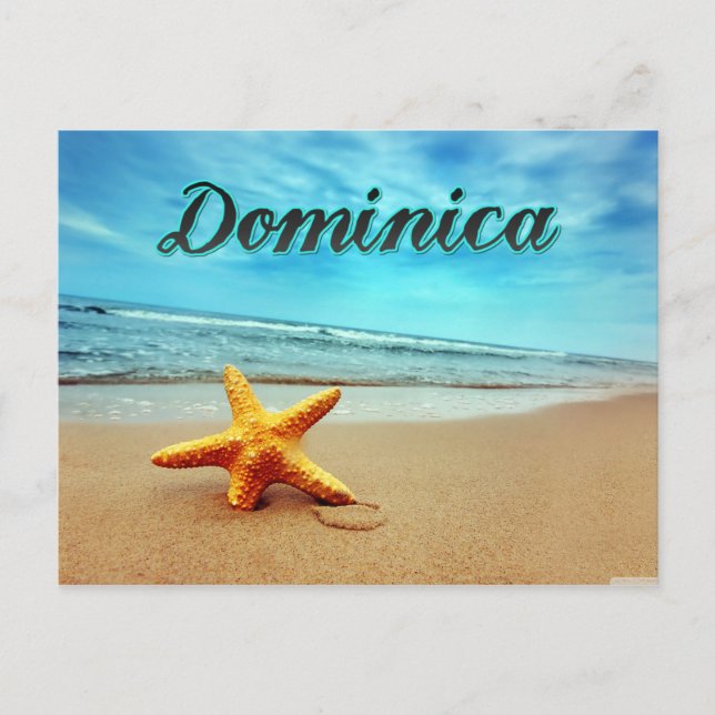 Cartão Postal estrela-do-mar de Dominica (Frente)