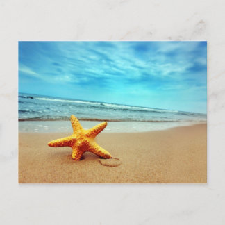 Cartão Postal Estrela Marítima Na Praia, Céu Azul, Oceano