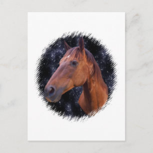 Cartão Postal Estrelas do cavalo