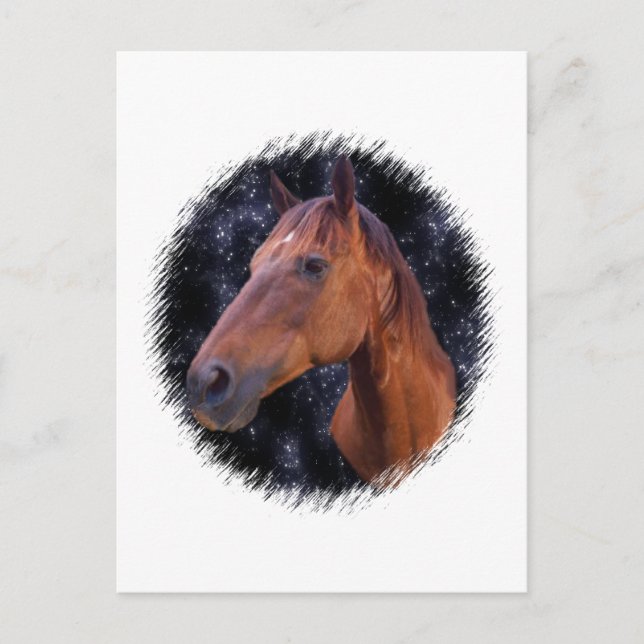 Cartão Postal Estrelas do cavalo (Frente)
