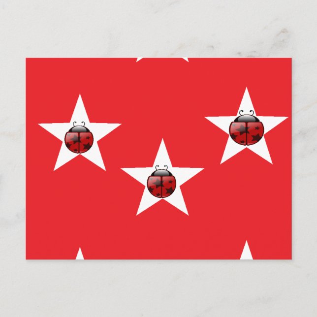 Cartão Postal Estrelas Ladybug (Frente)