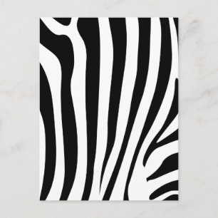 Cartão Postal Estrias de zebra