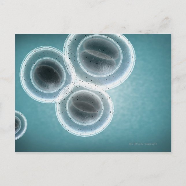 Cartão Postal Estrutura do MRSA (Frente)