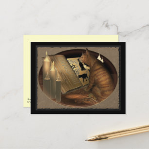 Cartão Postal Estudando Lições de Gato