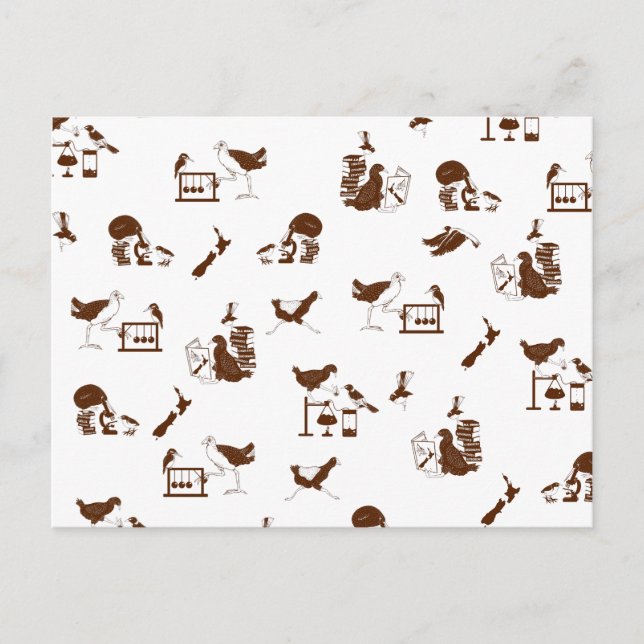 Cartão Postal Estudantes de Ciências de Aves da Nova Zelândia (Frente)