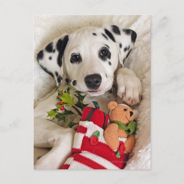 Cartão Postal estúdio (Frente)