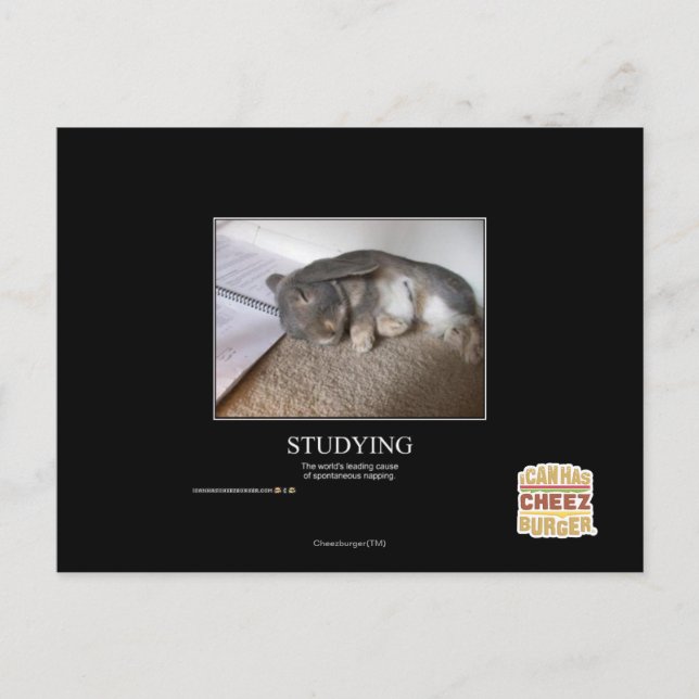 Cartão Postal Estudo (Frente)