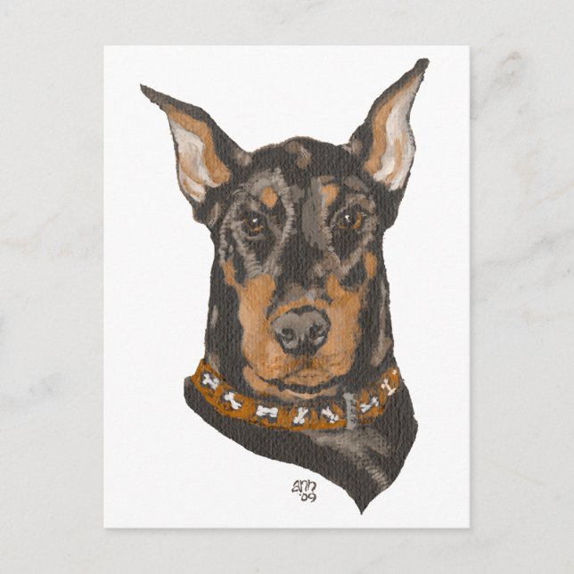 Cartão Postal Estudo da Cabeça do Doberman Pinscher (Frente)