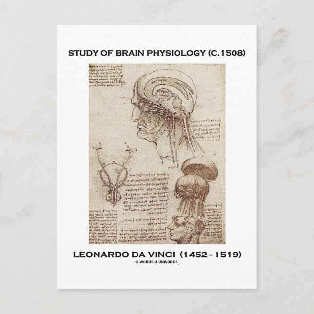 Cartão Postal Estudo Da Fisiologia Cerebral (Leonardo da Vinci 1 (Frente)