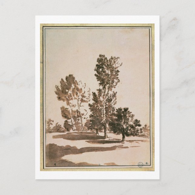 Cartão Postal Estudo de Árvore (caneta e tinta sobre papel) (Frente)