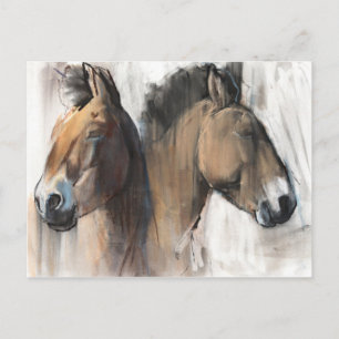 Cartão Postal Estudo de Cabeça