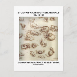 Cartão Postal Estudo de Gatos & Outros Animais (Leonardo da Vinc