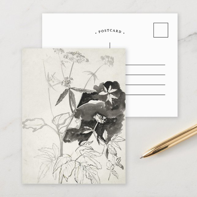 Cartão Postal Estudo de Planta | Carel Adolph Cachet (Criador carregado)