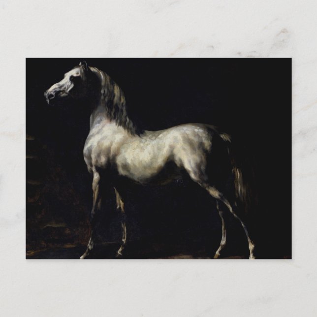 Cartão Postal Estudo de um Cinzento Malhado (Frente)