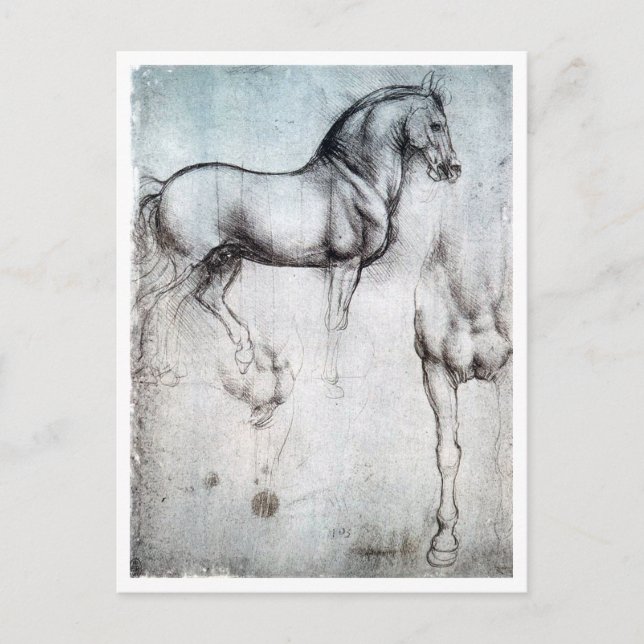 Cartão Postal Estudo sobre Cavalo, Leonardo da Vinci (Frente)