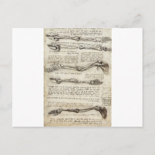 Cartão Postal Estudos do Braço por Leonardo Da Vinci c. 1510