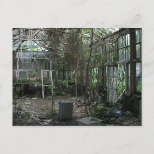 Cartão Postal Estufa abandonada