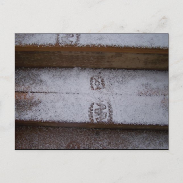 Cartão Postal Etapa do solteiro (Frente)